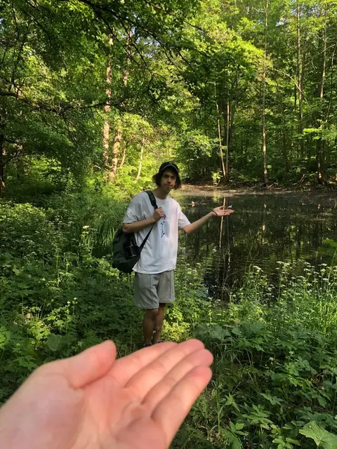 ivan vasilev portain